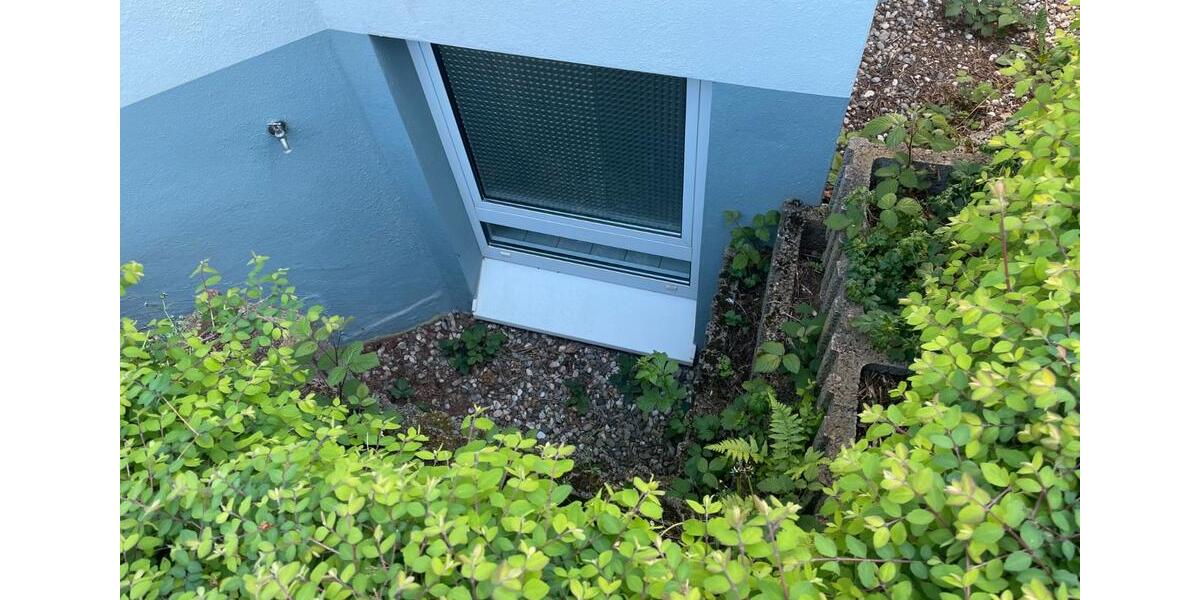 Erdgeschoßwohnung Hargesheim - 2 Zimmer, 49 m&sup2;, 530&euro; | Angebot:26600165