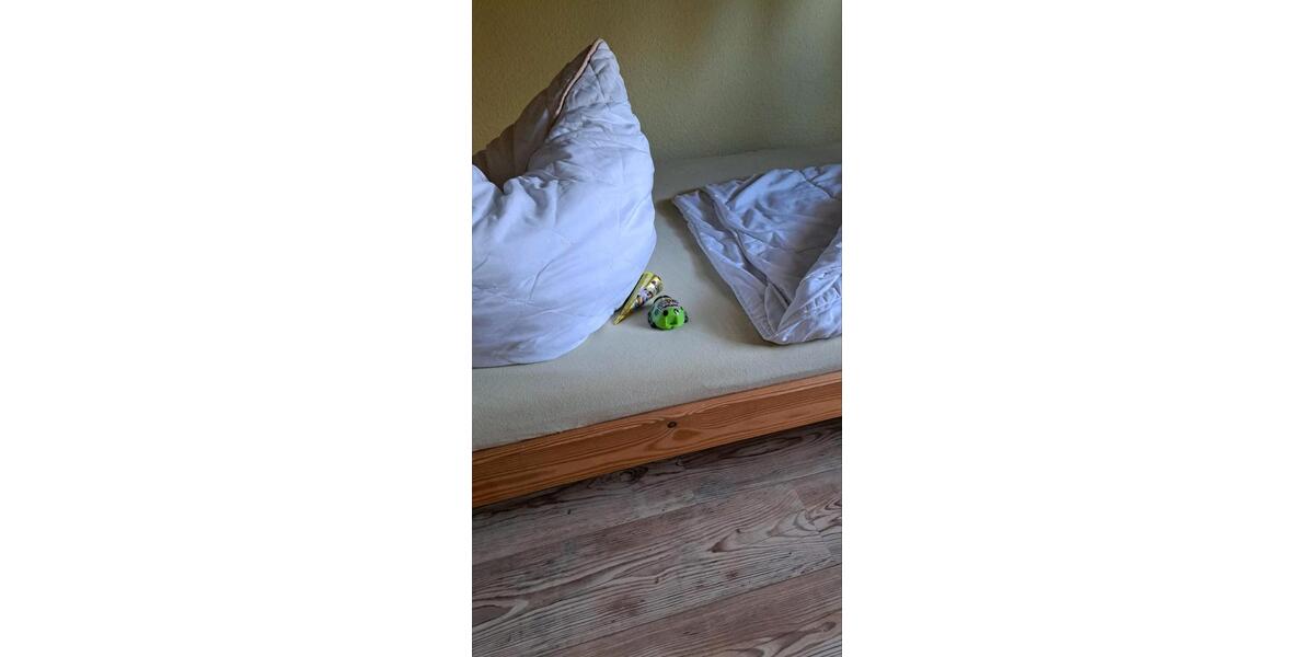 Einfamilienhaus Thale - 3 Zimmer, 50 m&sup2;, 60&euro; | Angebot:25045745