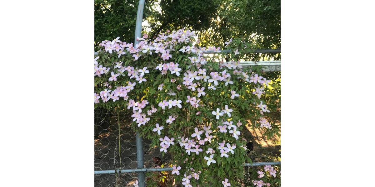 Wohnen auf Zeit Greven - 2 Zimmer, 50 m&sup2;, 80&euro; | Angebot:25903731