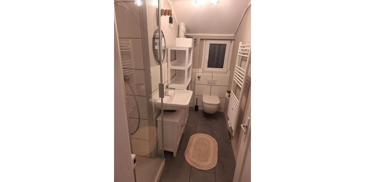 Dachgeschoßwohnung Offenburg Rammersweier - 1 Zimmer, 16 m&sup2;, 400&euro; | Angebot:26023497