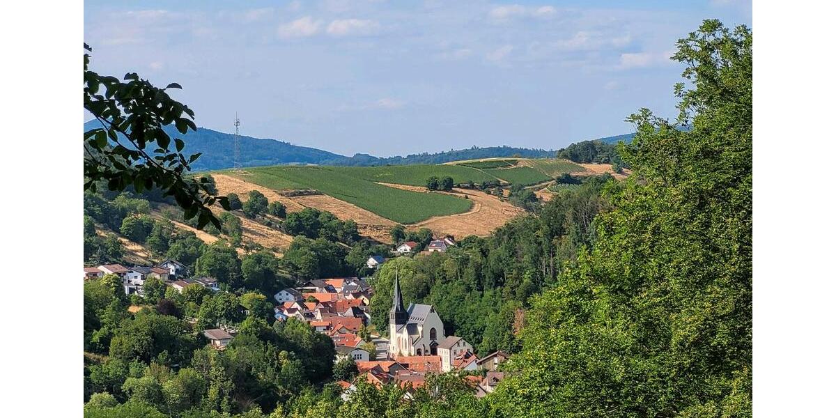 Wohnen auf Zeit Heppenheim (Bergstraße) - 2 Zimmer, 27 m&sup2;, 30&euro; | Angebot:10848894