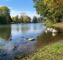 Wohnung zum Mieten in Fürstenwalde 775,80 € 64.65 m² 2 zimmer