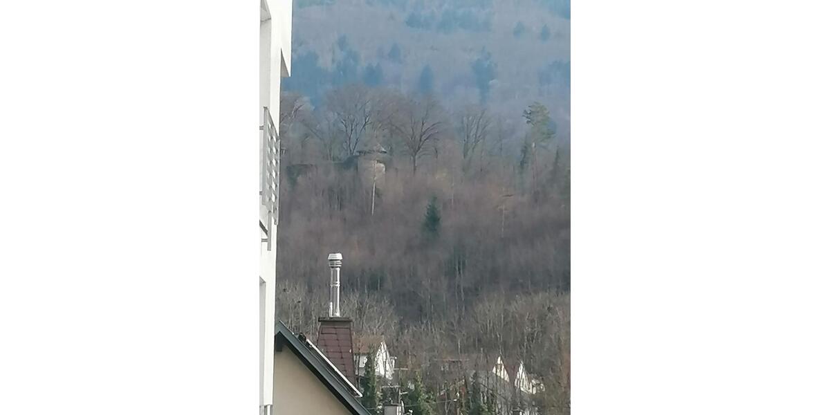 Etagenwohnung Wehr - 2 Zimmer, 52 m&sup2;, 800&euro; | Angebot:26704405