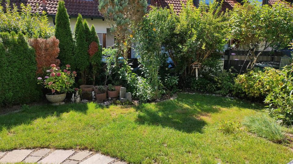 Wohnung, 3,5 Zimmer zimmer