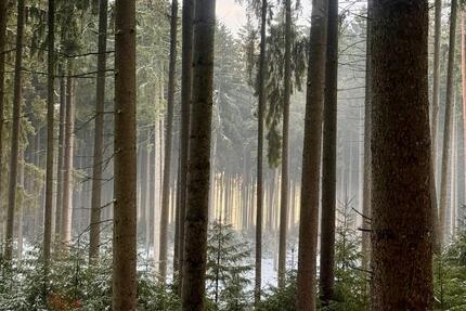 Wohnung Langquaid - 4 Zimmer, 95 m&sup2;, 1.000&euro; | Angebot:25204923