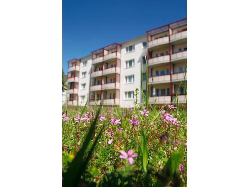 Sanierte 2 Raum Wohnung mit Balkon!