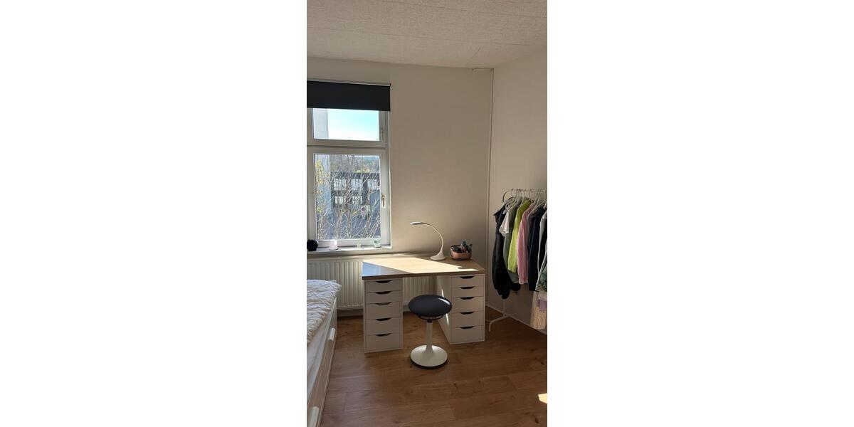Wohnen auf Zeit Wernigerode - 1 Zimmer, 11 m&sup2;, 340&euro; | Angebot:26176417