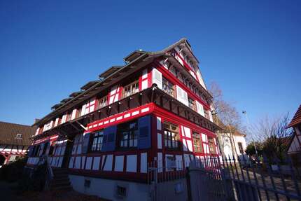 Wohnung zum Mieten in Kehl 400 € 31 m² 1 zimmer