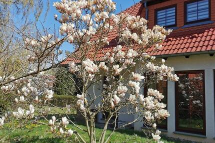 Haus Neuenhagen bei Berlin - 6 Zimmer, 150 m&sup2;, 5.900&euro; | Angebot:25966713