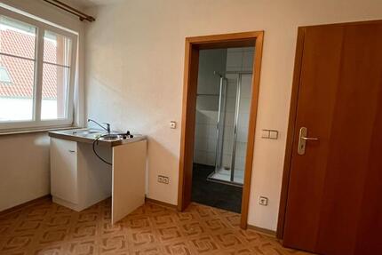 Wohnung Landau in der Pfalz - 1 Zimmer, 35 m&sup2;, 350&euro; | Angebot:26491050