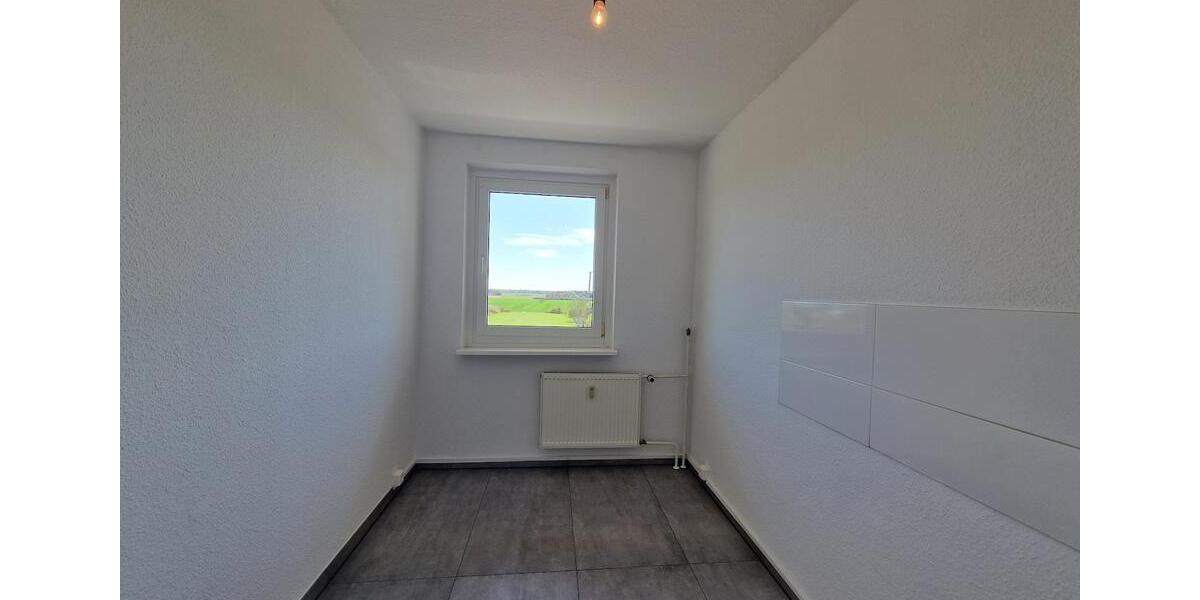 Dachgeschoßwohnung Aken (Elbe) - 2 Zimmer, 55 m&sup2;, 246&euro; | Angebot:26274471