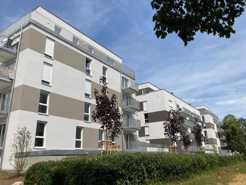 Wohnen im Dachgeschoss in Heilbronn Böckingen - Dachterrasse