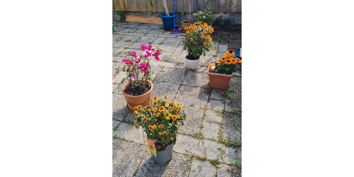 Wohnen auf Zeit Berg - 1.5 Zimmer, 35 m&sup2;, 650&euro; | Angebot:26150289