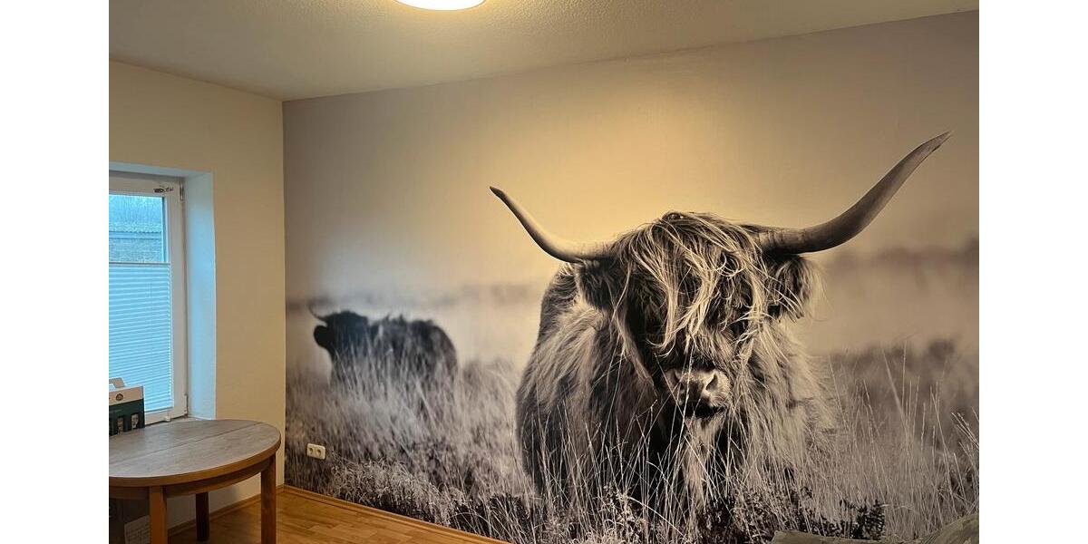 Wohnen auf Zeit Jevenstedt - 1 Zimmer, 150 m&sup2;, 300&euro; | Angebot:25650069