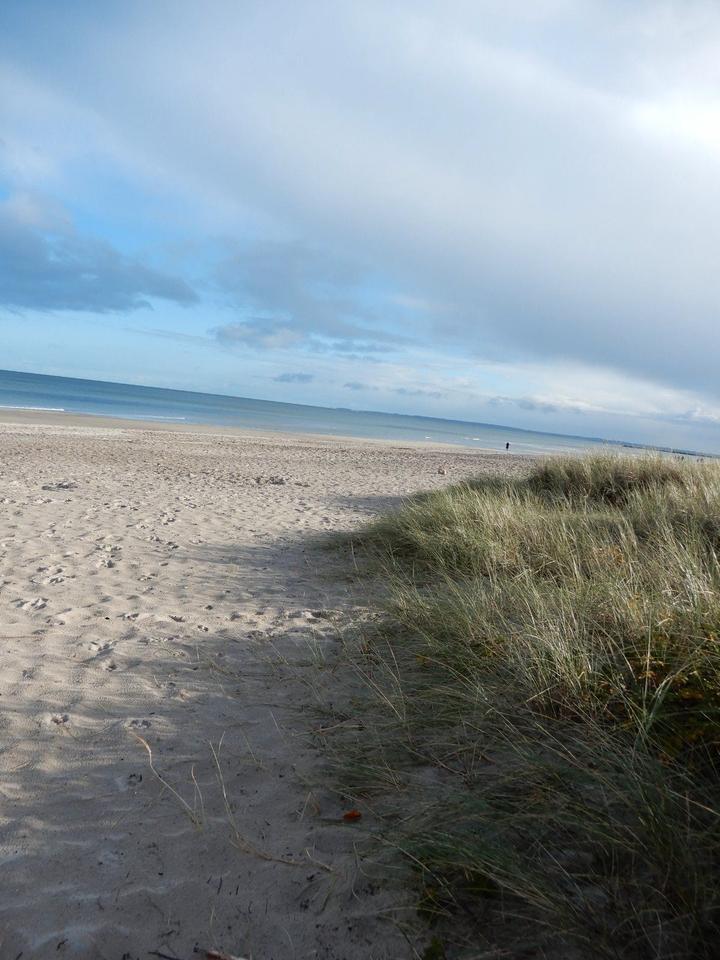 Urlaub 2025 ♡ Ostsee ♡ Damp Ostseecamping Mobilheim Campingplatz