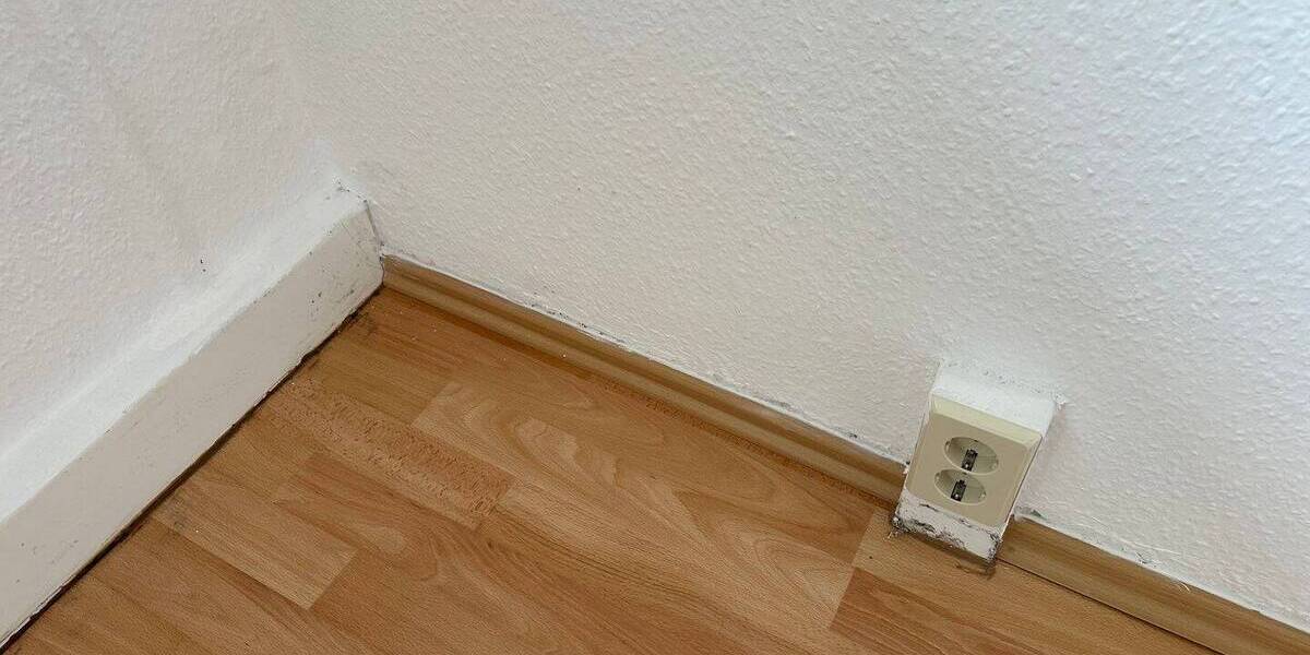 Zimmer Chemnitz Reichenbrand - 5 Zimmer, 100 m&sup2;, 599&euro; | Angebot:26080196