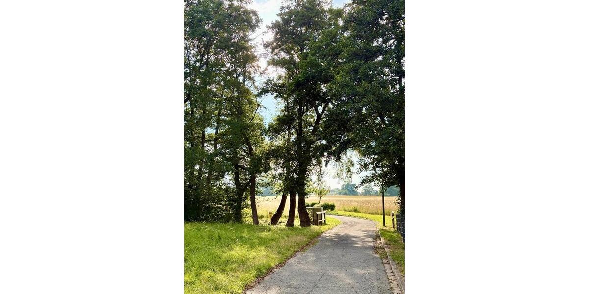 Wohnen auf Zeit Bad Harzburg - 2 Zimmer, 40 m&sup2;, 49&euro; | Angebot:25274931