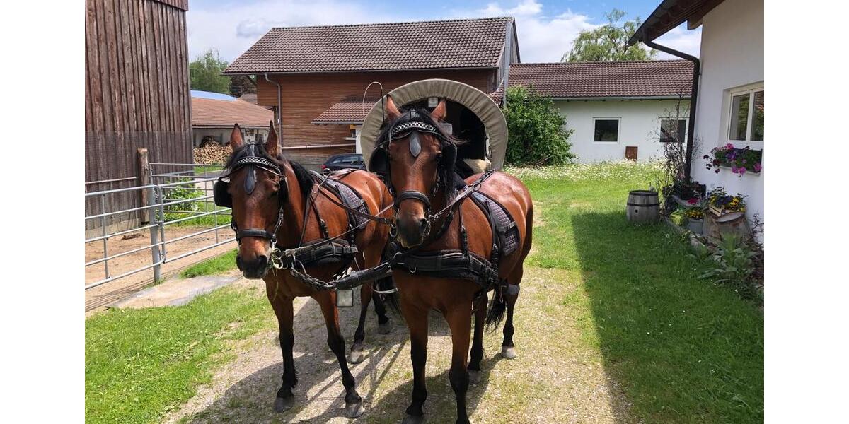 Dachgeschoßwohnung Durach - 1 Zimmer, 113 m&sup2;, 1.400&euro; | Angebot:24673278