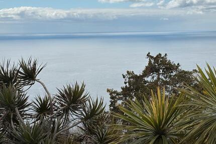 Haus Trier Kürenz - 3 Zimmer, 100 m&sup2;, 1.500&euro; | Angebot:25894623