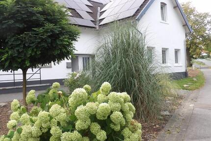 Schöne Wohnung mit großem Garten zimmer