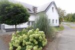 Schöne Wohnung mit großem Garten zimmer
