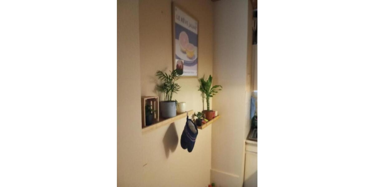 Etagenwohnung Bad Liebenzell - 1 Zimmer, 38 m&sup2;, 460&euro; | Angebot:24149584