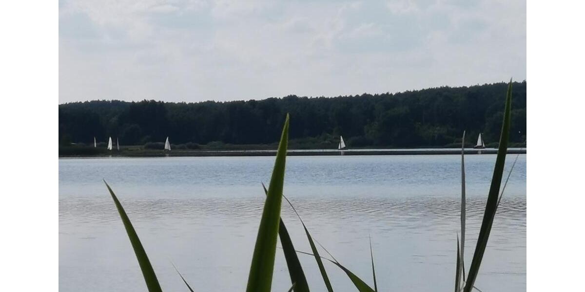 Erdgeschoßwohnung Niesky - 2 Zimmer, 650&euro; | Angebot:23485693