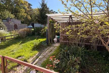 Wohnung Barth - 3 Zimmer, 64 m&sup2;, 549&euro; | Angebot:26571069