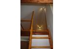 Dachgeschoßwohnung Bayreuth Bernecker Straße / Insel / Riedelsberg - 2 Zimmer, 40 m&sup2;, 550&euro; | Angebot:26398494