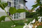 Wohnen auf Zeit Wernigerode - 1 Zimmer, 18 m&sup2;, 320&euro; | Angebot:21350445
