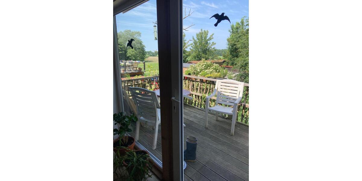 Wohnen auf Zeit Emkendorf - 1 Zimmer, 20 m&sup2;, 350&euro; | Angebot:22686016