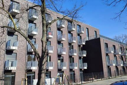 Großes 1-Raumapartment zur Miete in Potsdam Bornstedt - Wentzel Dr. - 1 zimmer