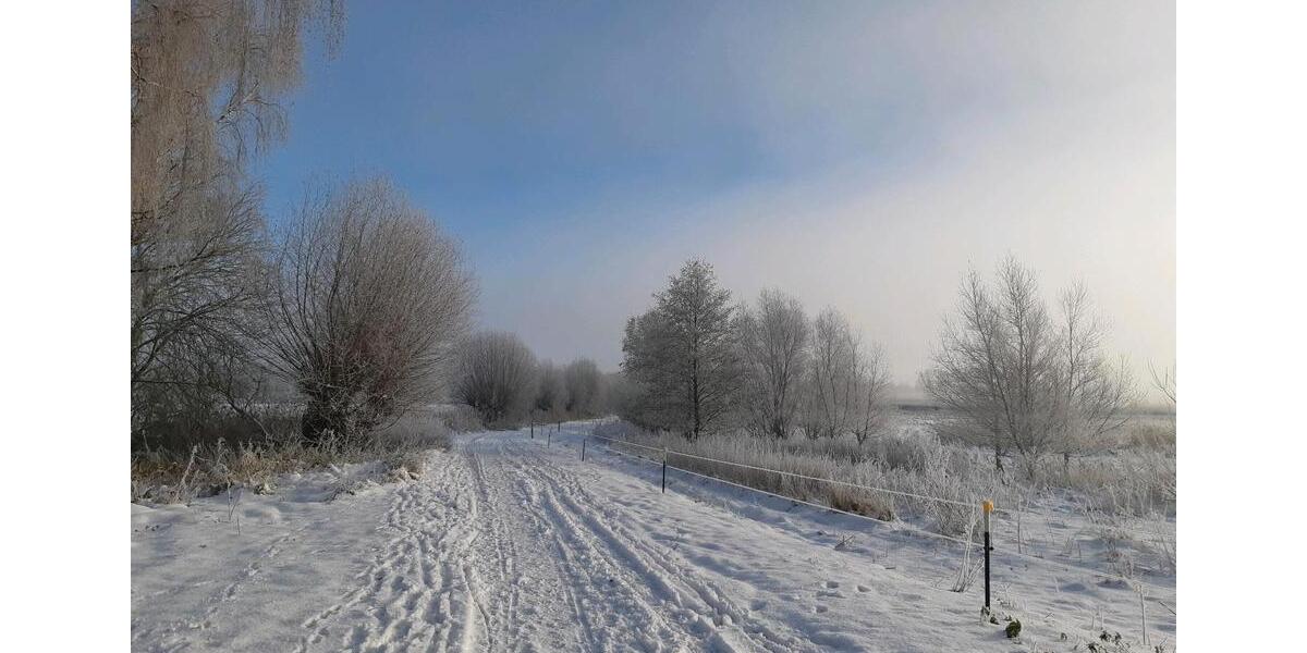 Wohnen auf Zeit Ratzeburg - 1 Zimmer, 18 m&sup2;, 525&euro; | Angebot:24454126