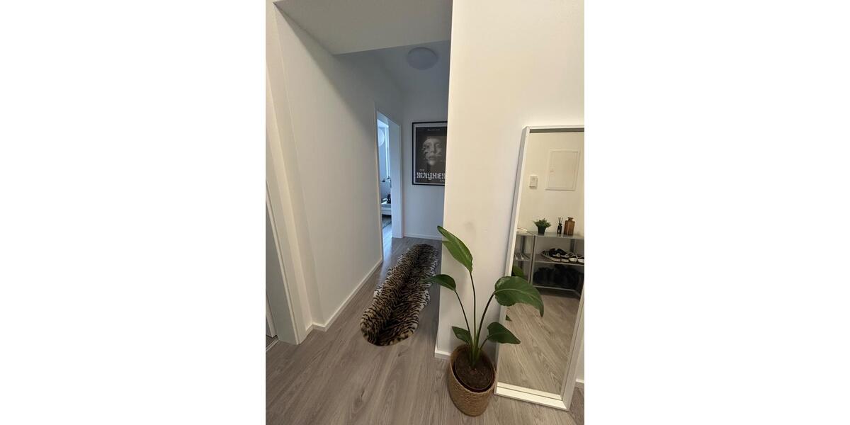 Wohnen auf Zeit Kassel Philippinenhof-Warteberg - 2 Zimmer, 54 m&sup2;, 415&euro; | Angebot:26551255