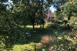 Dachgeschoßwohnung Nauen - 3 Zimmer, 73 m&sup2;, 800&euro; | Angebot:26448081