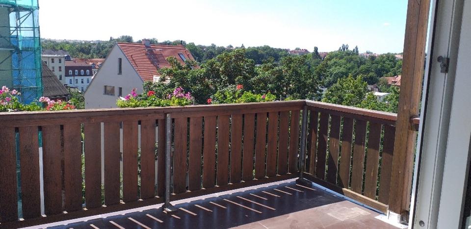 geräumige 1 Raum-Wohnung mit Balkon in Zeitz 1 zimmer