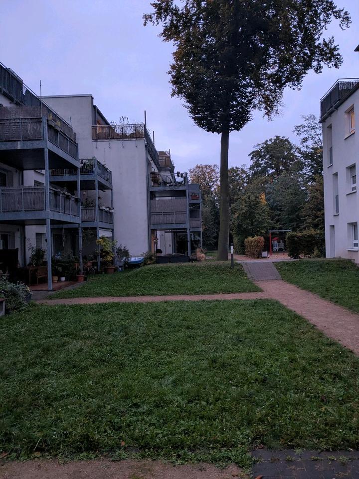 Wohnung in Köln Nippes zu vermieten zimmer