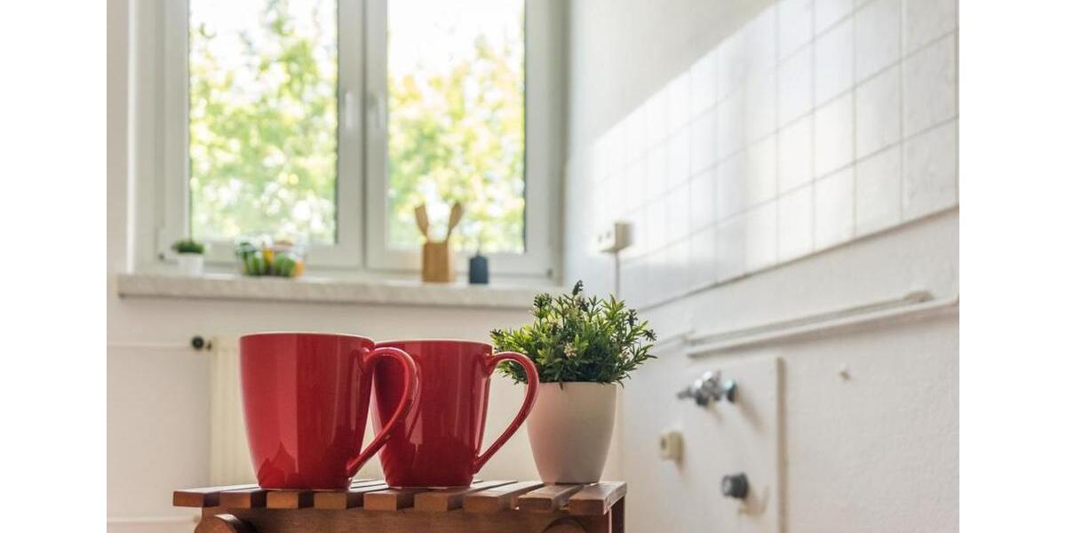 Erdgeschoßwohnung Chemnitz - 2 Zimmer, 56 m&sup2;, 320&euro; | Angebot:26693417