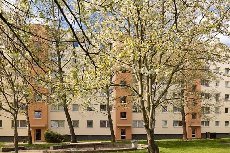 Erdgeschoßwohnung Dresden Cotta - 3 Zimmer, 64 m&sup2;, 489&euro; | Angebot:25153845