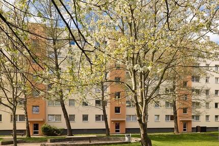 Wohnung Dresden Cotta - 3 Zimmer, 64 m&sup2;, 489&euro; | Angebot:25153845