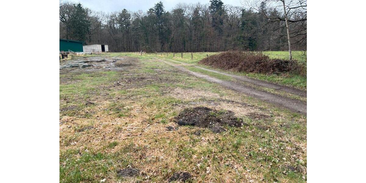 Dachgeschoßwohnung Bülkau - 5 Zimmer, 120 m&sup2;, 15&euro; | Angebot:26030862