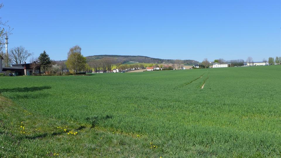 2 - RW in ruhiger Lage am Beckenberg!
