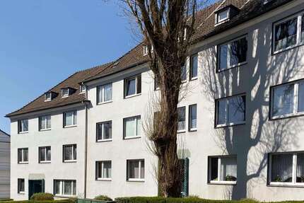Wohnung zum Mieten in Wuppertal 528 € 62 m²