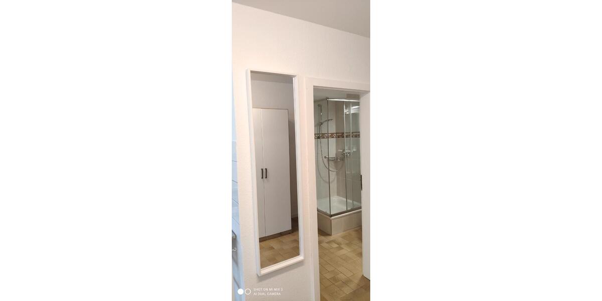 Etagenwohnung Trier Kürenz - 1 Zimmer, 28 m&sup2;, 395&euro; | Angebot:26647782