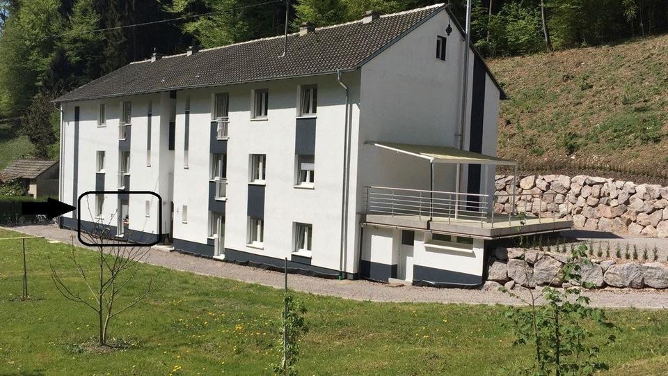 Loft - Studio - Atelier Schwörstadt - 2 Zimmer, 45 m&sup2;, 650&euro; | Angebot:26626700
