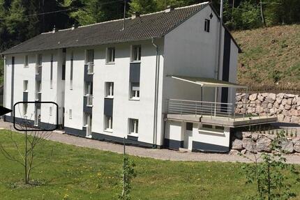 Wohnung Schwörstadt - 2 Zimmer, 45 m&sup2;, 650&euro; | Angebot:26626700