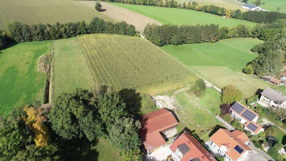 Halle in Pastetten 995 € 240 m²