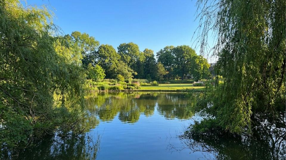 Dachgeschoßwohnung Hamburg Wandsbek - 2 Zimmer, 48 m&sup2;, 975&euro; | Angebot:26005681