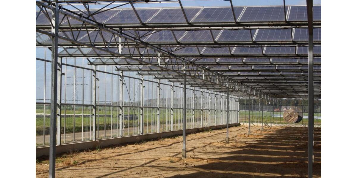 Gewerbeobjekt Bassum - 123&euro; | Angebot:25901005