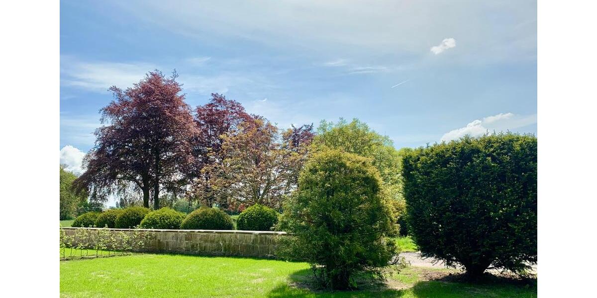 Erdgeschoßwohnung Lienen - 2.5 Zimmer, 72 m&sup2;, 1.040&euro; | Angebot:26033832